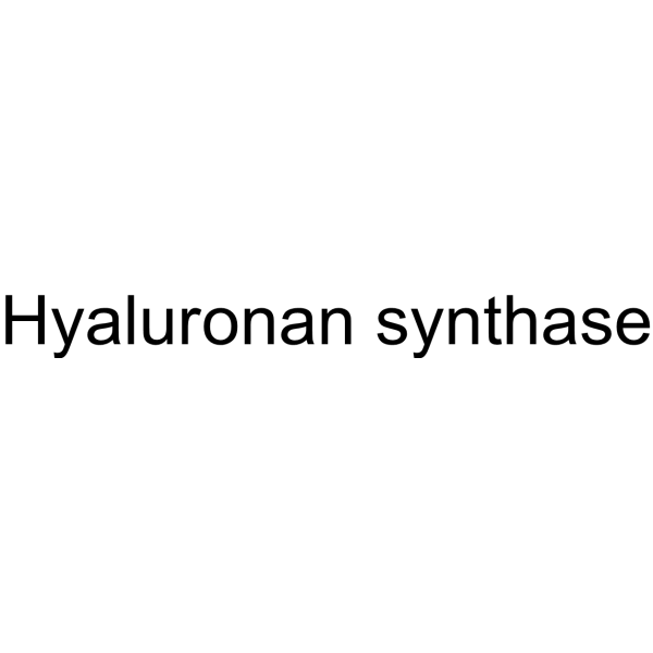 Hyaluronan synthase (PmHAS) 39346-43-5